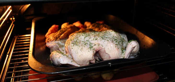 spatchcock-6