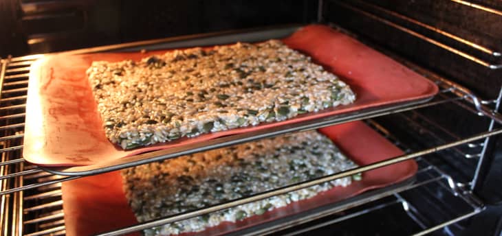 seed-crackers-4