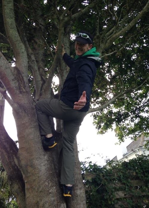 WN-Tree-1
