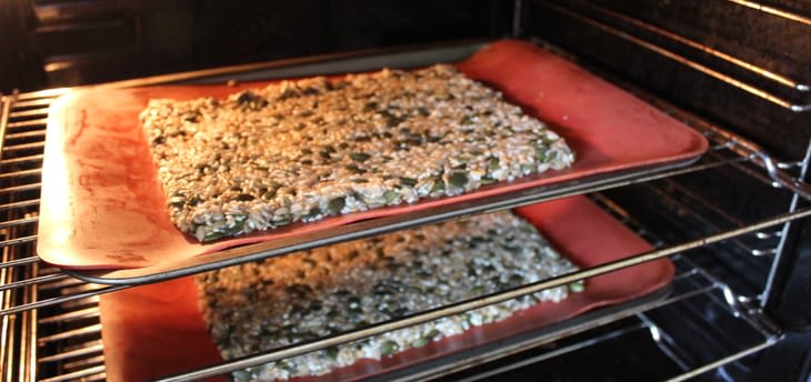 seed-crackers-4